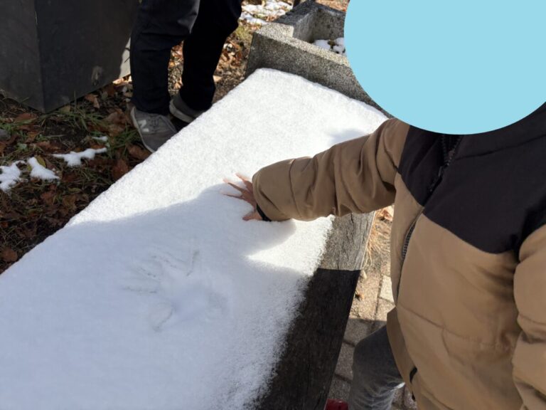 雪☃️❄️☃️❄️