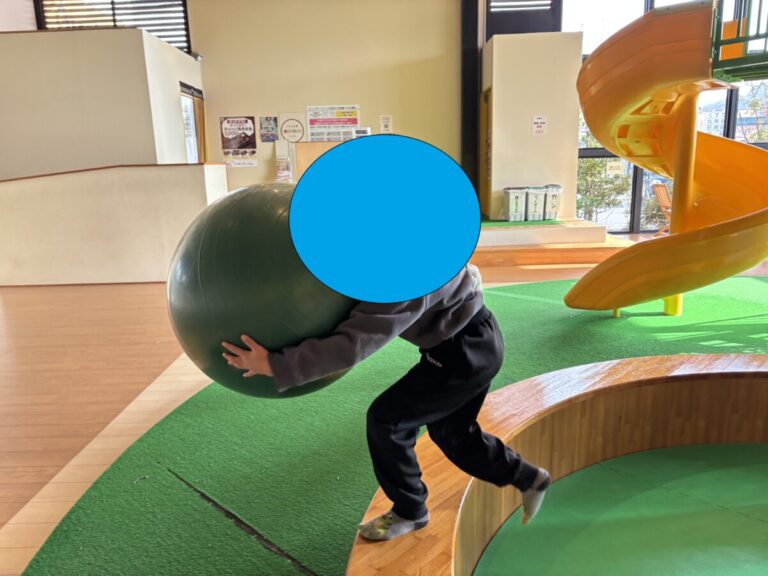 雪の降る日は…